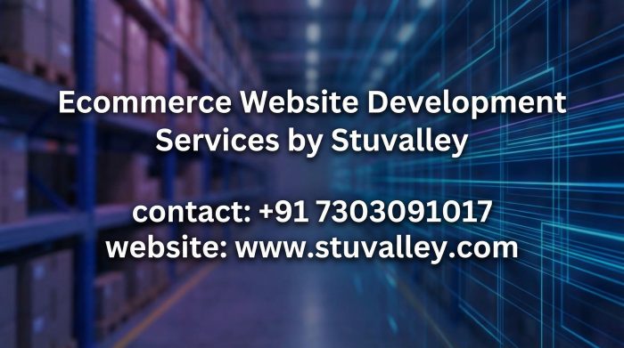 Ecommerce Website Development Services by Stuvalley