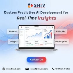 Leading Predictive AI Development Company | Shiv Technolabs
