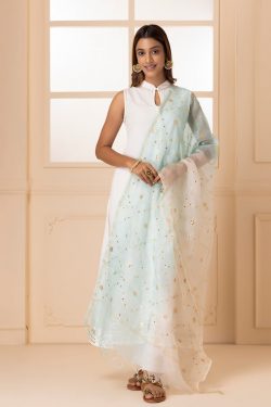 Shop Pure Kota Silk Dupatta Collection for women | Geroo Jaipur