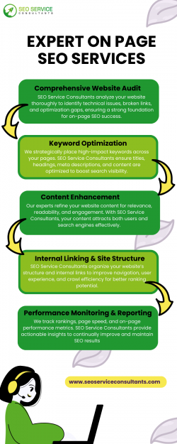 Professional SEO Optimization by SEO Service Consultants