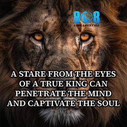 808 Lion Lifestyle – Unlock the Power of the True King’s Vision
