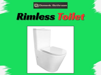 Hygienic Modern Toilet Design