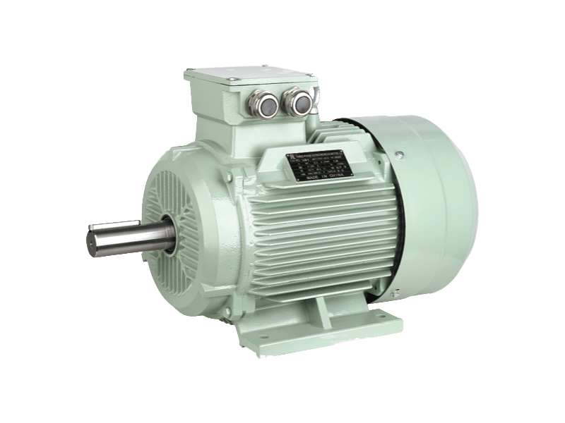 Y2 Motor: Global Standard for Interchangeable Industrial Power