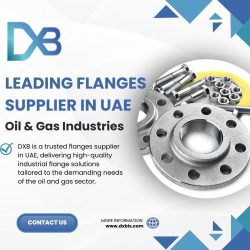 Leading Flanges Supplier in UAE for Oil & Gas Industries