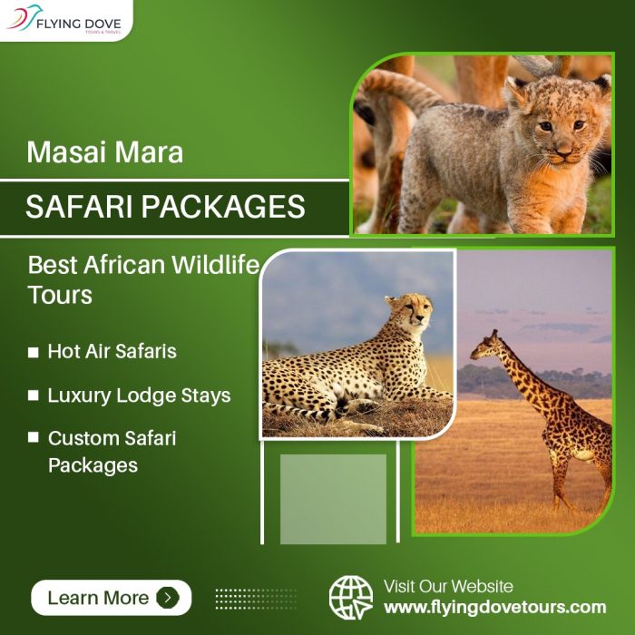 Masai Mara Safari Packages – Best African Wildlife Tours