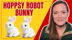 https://www.facebook.com/HoppsyRobotBunny/