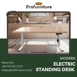 Modern Electric Standing Desk For Home & Office