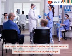 NDIS Pampas and Pechey Explained | RAWR Support Services Solutions