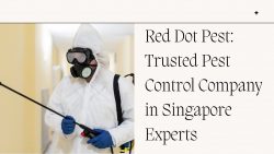 Red Dot Pest: Trusted Pest Control Company in Singapore Experts