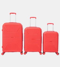 One Suitcase. Every Journey. From Campus to Boardroom