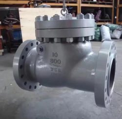 Stop Backflow Instantly – Industrial Cast Check Valve for Critical Pipelines