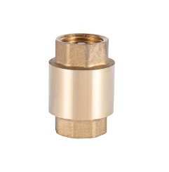 Check Valve With Screen Manufacturer