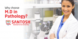 Why choose M.D. in Pathology?