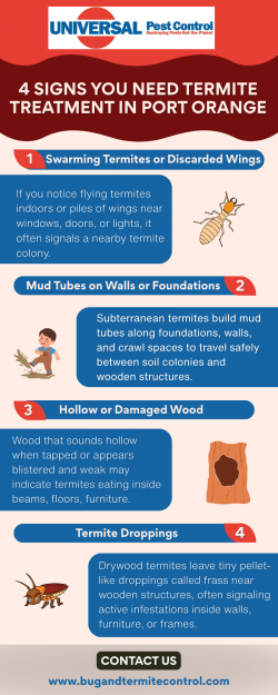 Common Warning Signs That Call for Port Orange Termite Treatment