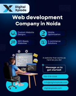 Top Web Development Company in Noida for High Quality Websites