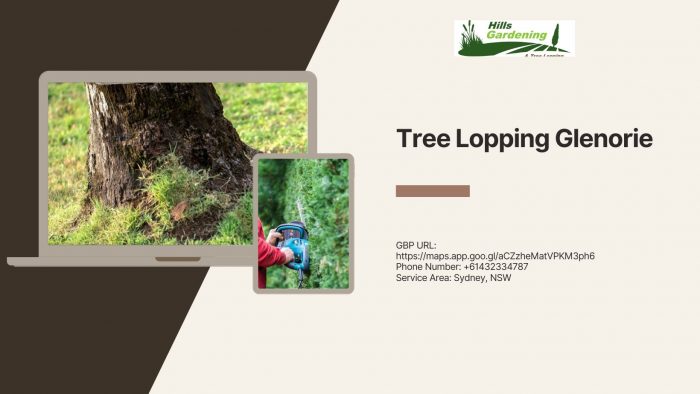 Tree Lopping Glenorie