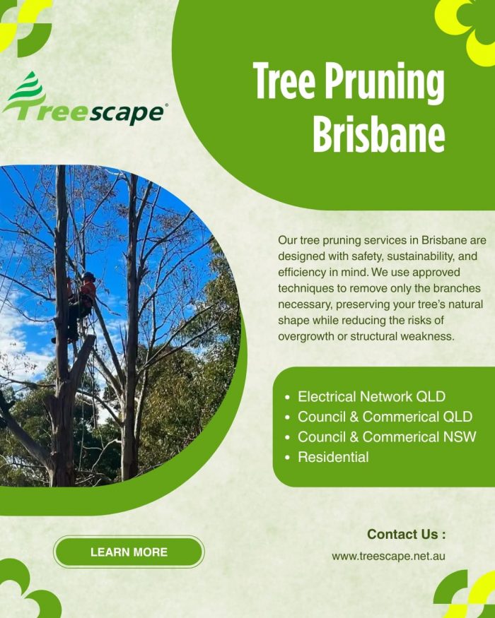 Tree Pruning Brisbane