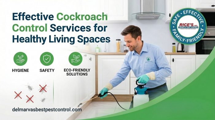 Effective Cockroach Control Services for Healthy Living Spaces