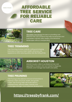 Expert Solutions Through Affordable Tree Service For Better Landscapes