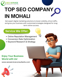 Top SEO Company in Mohali | Boost Rankings & Traffic