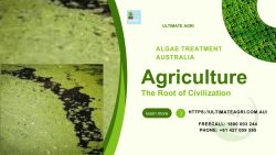 Algae treatment Australia