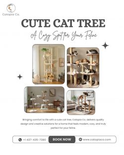 Cute Cat Tree: A Cozy Spot for Your Feline.