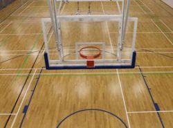 Premium Basketball Backboards for Indoor & Outdoor Use