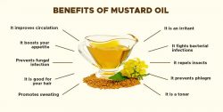 Benefits of Mustard Oil: Uses for Health, Hair, and Skin