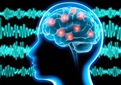 The Memory Wave