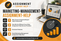 Marketing-Management-Assignment-Help with Plagiarism-Free Content