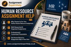 Custom Human Resource Assignment Writing Solutions