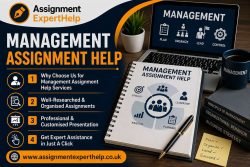 Custom Management Assignment Writing Solutions