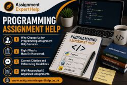 Custom Programming Assignment Writing Solutions