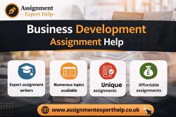 Reliable Business Development Assignment Help for All Levels