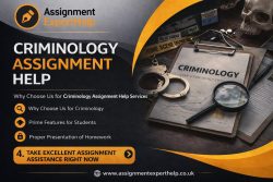 Custom Criminology Assignment Writing Solutions