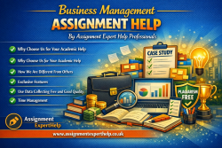 Professional Business Management Assignment Help for All Levels