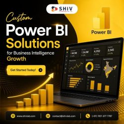 Scalable Power BI Development Services by Shiv Technolabs