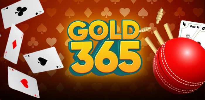 How Gold 365 Works: Everything You Should Know