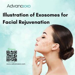 Illustration of Exosomes for Facial Rejuvenation