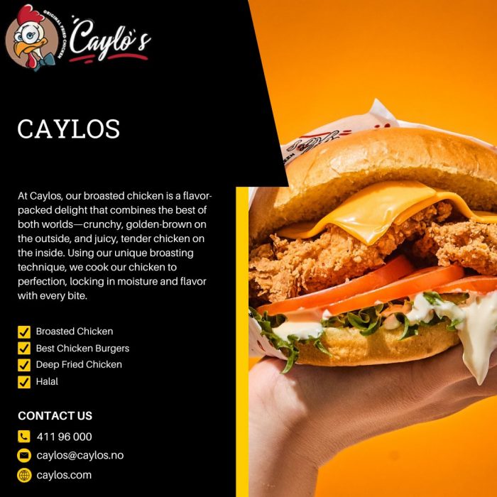 Halal Fried Chicken at Caylos – Quality Taste You Can Trust