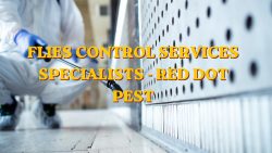 Flies Control Services Specialists – Red Dot Pest