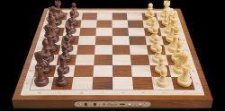 Shop Custom Chess Board Smart Electronic Sets Online Store