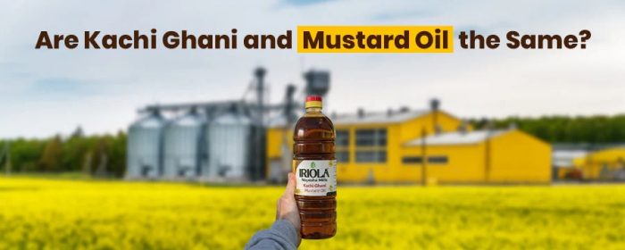 Kachi Ghani vs Mustard Oil What’s the Real Difference