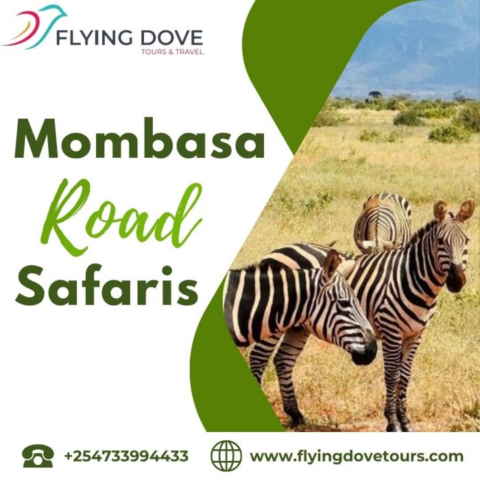 Mombasa Road Safaris