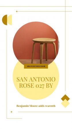 San Antonio Rose 027 Warm Paint Color Ideas