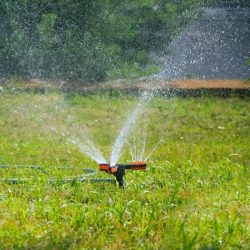 Best Sprinkler Repair Little Elm TX for Efficient Watering