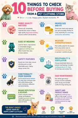 Smart Tips Before Buying Clothes for Dogs and Cats