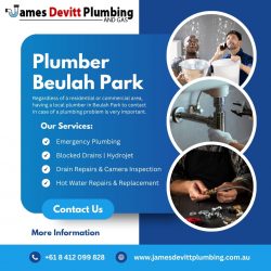 Plumber Beulah Park