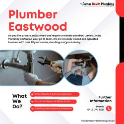 Plumber Eastwood