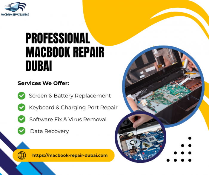 Professional MacBook Repair Dubai